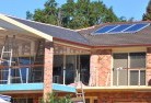 Tomagohome-extensions-6.jpg; ?>